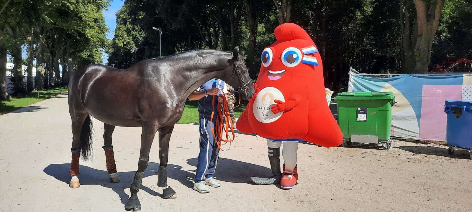 Versailles et l’amitié entre deux drôles d’animaux